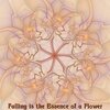 Juan Maria Solare - Falling Is the Essence of a Flower