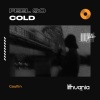 Gaullin、Linas Gaudutis - Feel so Cold (Explicit)