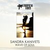 Sandra Kanivets - Wave Of Soul (Original Mix)