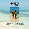 Hybrid Funk Theory - Coming Home (Original Mix)