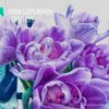 Ivan Lopukhov - Feelings (Original Mix)