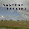 Steve Larkman - Saltend Skyline
