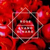 Avano、Dinaro - Rose