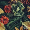 Danmic's - Find Me