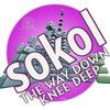 Sokol - The Way Down Knee Deep (Original Mix)