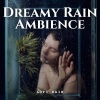 Waterfall Sound、Baby Bedtime Lullaby、Study Alpha Waves - Drowsy Town