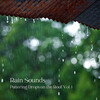 Rivers and Streams、Fireplace Sounds、Spa Atmospheres - Through The Rain