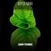Gim Tonic - Lunssaa Bagasciazza (Radio Vrs.)