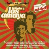 Los Amaya《Vete (Versión 2005)》[MP3/LRC]