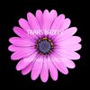 Taras Bazeev - Breathing Of Freedom (Original Mix)