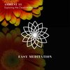 Ambient 11 - Exploring Inner Peace (Original Mix)