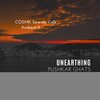 Ambient 11 - Shankra Chanting (Original Mix)
