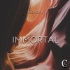Gallary - Immortal (Original Mix)