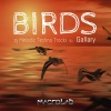 Gallary - Birds (Original Mix)