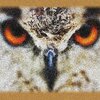Roby M Rage - One More (Original Mix)