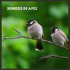 Sonidos De Aves - Sonidos de Aves, Pt. Uno