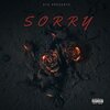 Sunnik、OTG、Huncho Carter - Sorry (feat. Sunnik, STiCK & Huncho Carter)(Explicit)