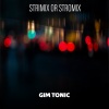Gim Tonic - Strimix (Flute)