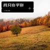 一只耗子精 - 我只在乎你