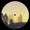 Shroomyland - I've Been Waiting For You