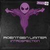 Roentgen Limiter - Introspection