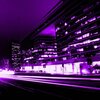 sleeping sloth - purple love