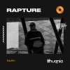 Gaullin、Nadia Ali、Markus Moser - Rapture