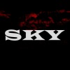 Dj gizmo - Sky