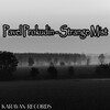 Pavel Prokudin - Strange Mist