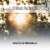 Sacco & Redaelli《Ballo Da Sballo (Radio Vrs.)》[MP3/LRC]