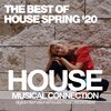Nicole Wane - Sounds Good (Original Mix)
