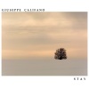 Giuseppe Califano《Stay》[MP3/LRC]