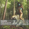 Oleev《PGLD Dream (Original Mix)》[MP3/LRC]