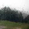 Lluvia Relajante、Ruido de Lluvia、Lluvia del Bosque - Sonido de Lluvia con Truenos Suaves Para Dormir 1 Hora