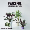 Relieving Stress Music Collection - Day of Delight (Nature)