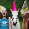 Horse Attack Sqwad - Tallibileet