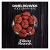 Daniel Richards - Voices In My Head (Niko De Angelis Remix)