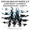 Audio Bigot - Two Shades Of White (Original Mix)