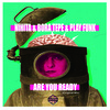 Nihita、Bora Tepe、Play Funk - Are You Ready (Original Mix)