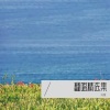 刘慧 - 洋葱