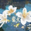 「山橙」T.G、张志画、贰橙Erc.、采栀 - 萤火