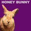 Honey Bunny《Vocal FA FX01》[MP3/LRC]