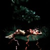 Caroline Polachek、Danny L Harle - Blood And Butter