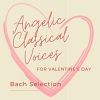 The Angelic Harmony Choir - Bach JS Fugue in D minor BWV 108