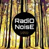 DANYr - Radio Noise (Original Mix)