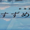 LAOYE桑 - すずめ