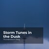 Thunderstorm Sleep、Thunderstorm、Thunder Storms & Rain Sounds - Catch Zzzz in Thunder