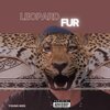 Young Niss - Leopard Fur (Explicit)