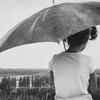 Aquagirl、Music For Pets、Twinkle Twinkle Little Star - Insomnia Aid Rainy Sounds