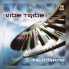 Vibe Tribe - Vinyla Sky (Original Mix)